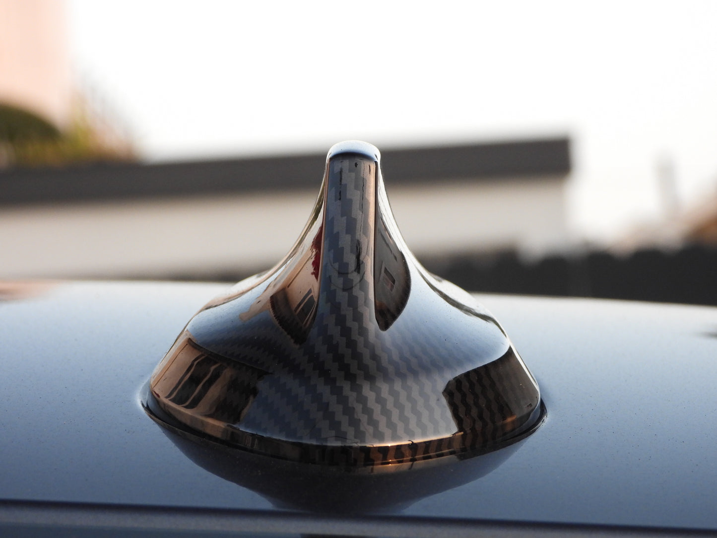 Carbon Fiber Shark