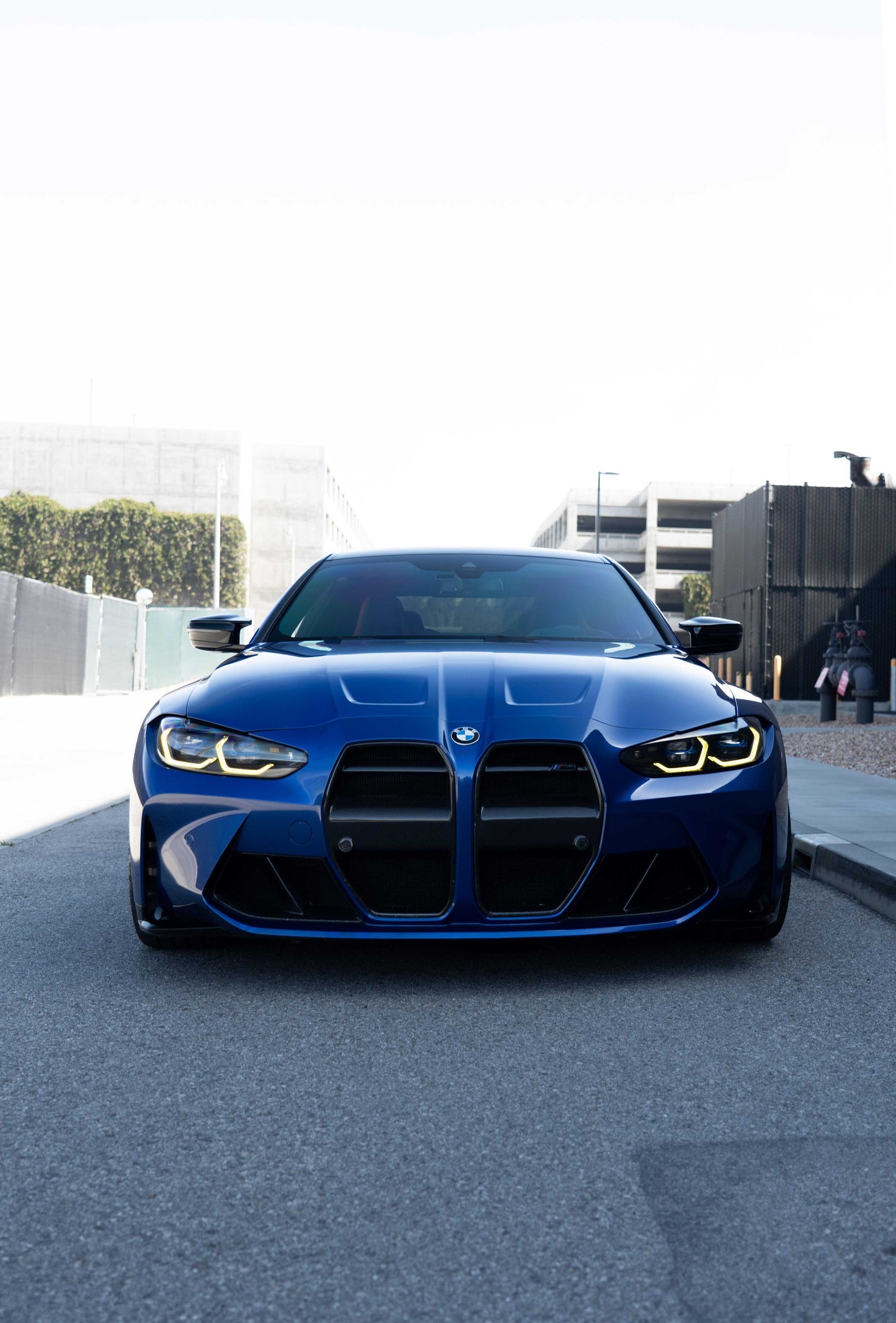 G8X M3/M4 Carbon V Style Grill