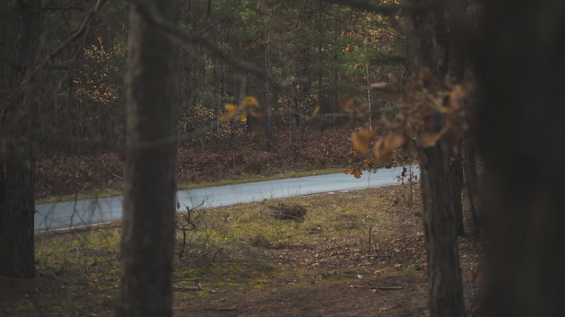 Load video: 